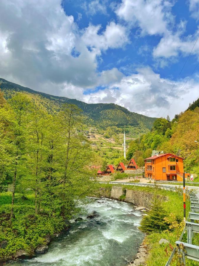 The Wooden House Uzungoel Uzungöl Exteriér fotografie