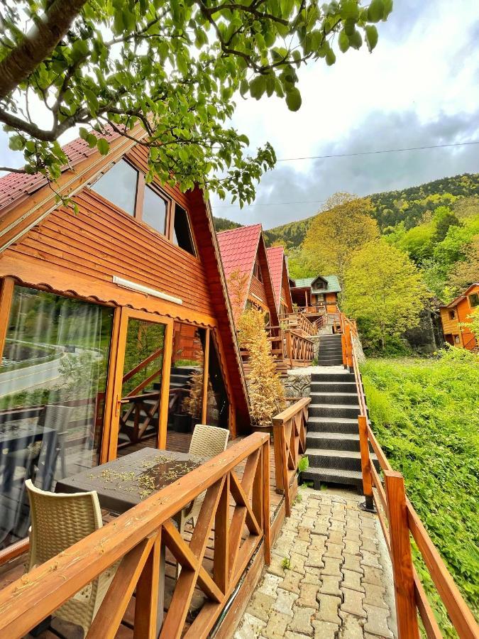 The Wooden House Uzungoel Uzungöl Exteriér fotografie
